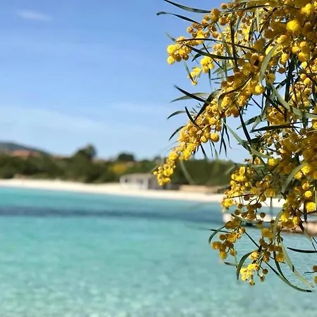 Villaggio Isuledda N 99 120 M Dal Mare Bilocale Per 34 Persone Con Accesso Diretto Alla Spiaggia Villa San Teodoro (Sardinia)
