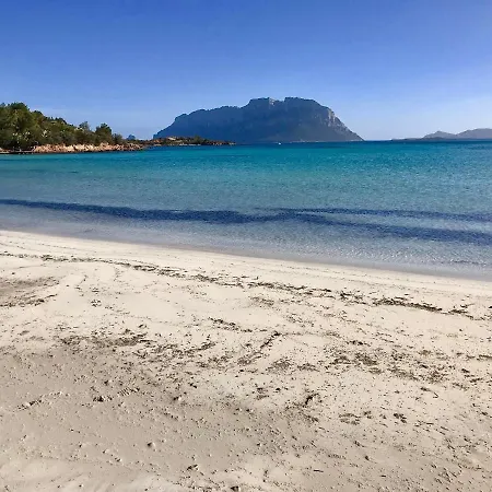 Villaggio Isuledda N 99 120 M Dal Mare Bilocale Per 34 Persone Con Accesso Diretto Alla Spiaggia San Teodoro (Sardinia)